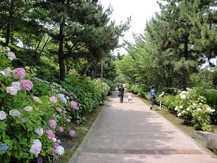 b0094239_1129976.jpg