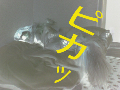 a0120944_12563798.jpg