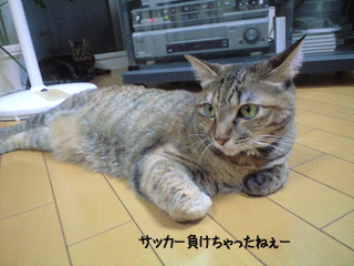 f0116546_23223332.gif