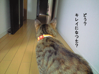 f0116546_23395639.gif