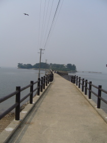 e0110047_16551634.jpg