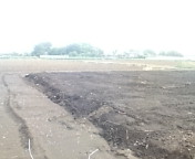 e0150849_9325377.jpg