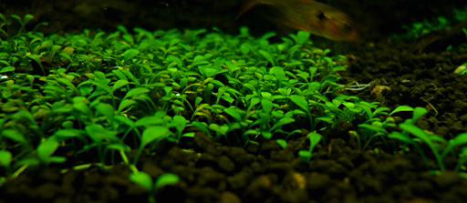 a0046952_18445584.jpg