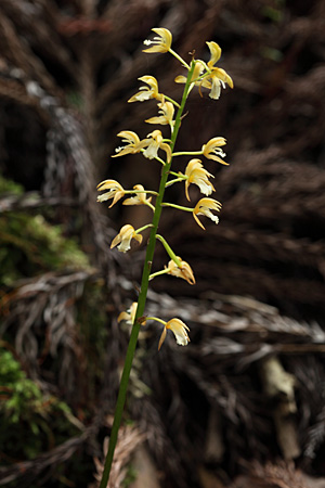 e0113053_2358465.jpg