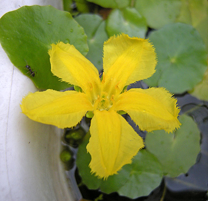 a0001354_21164068.jpg