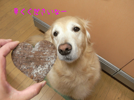 b0071654_175102.gif