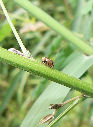 d0091754_22553697.jpg