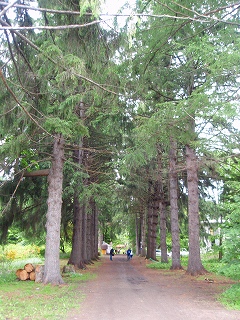 e0004756_21371244.jpg