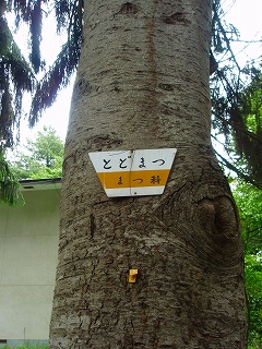 e0004756_21381239.jpg