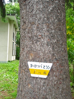 e0004756_21385728.jpg