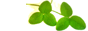 c0119160_20585581.gif
