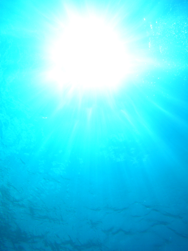 b0062363_17122429.jpg