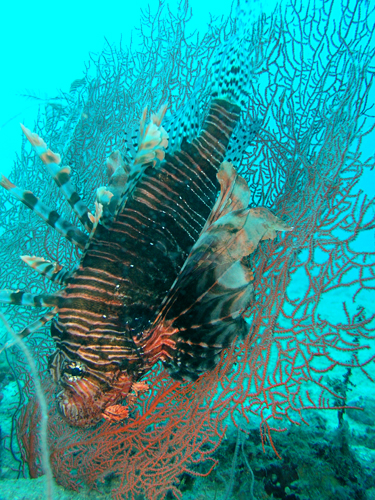 b0062363_17145912.jpg