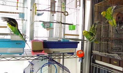 f0196665_014484.jpg