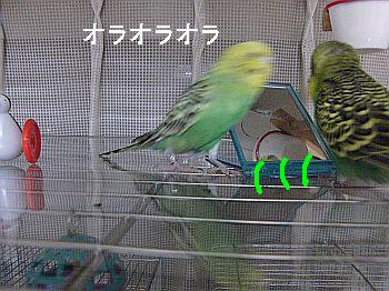 f0196665_032297.jpg