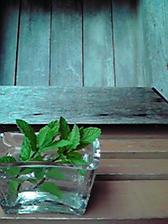c0144868_2122041.jpg