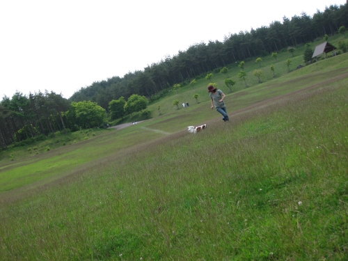 f0175875_18585498.jpg