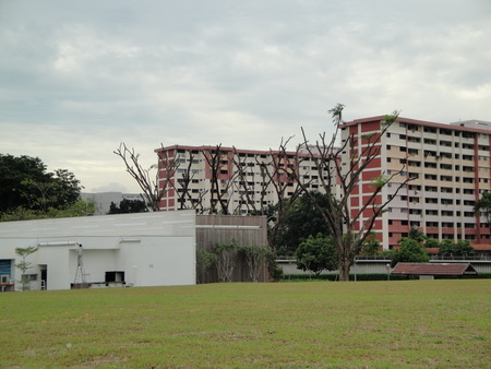 a0002177_16402694.jpg