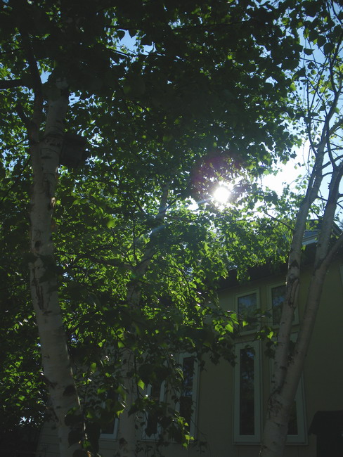 c0197578_7492875.jpg