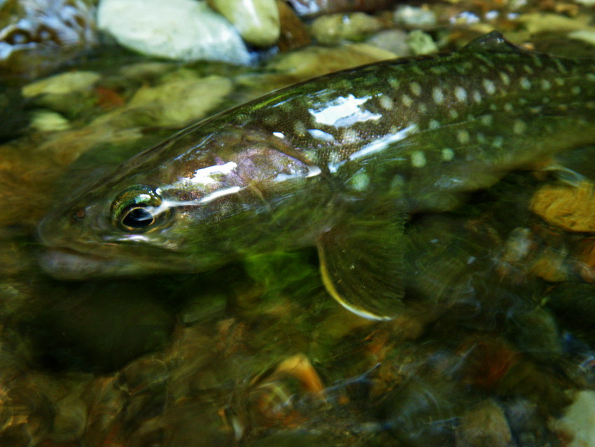 c0197578_8353985.jpg