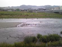 b0145479_2157561.jpg
