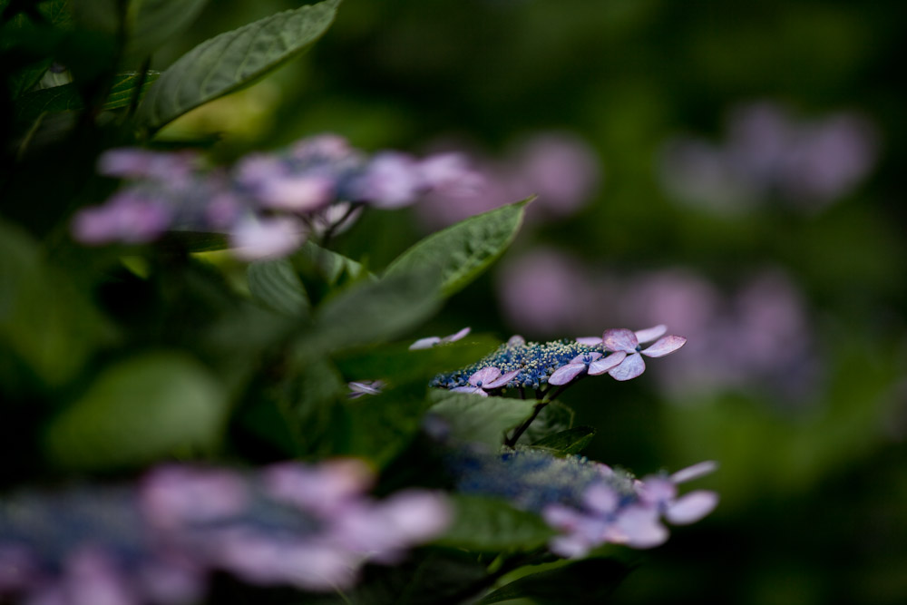 a0083081_17582070.jpg