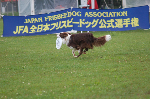d0101385_9585620.jpg