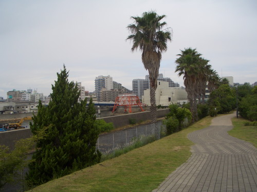 b0118987_681789.jpg