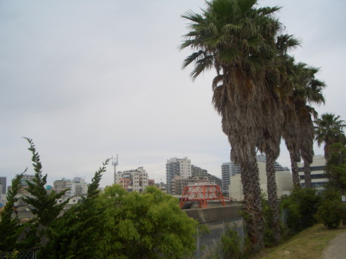 b0118987_68784.jpg