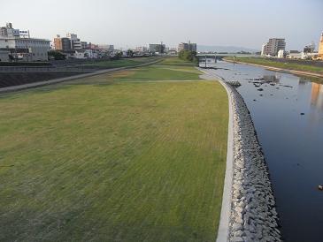 e0048994_1451573.jpg