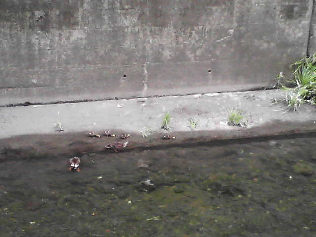 b0167999_10564560.jpg