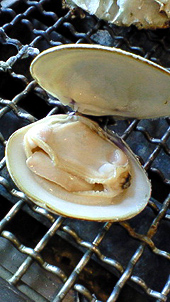 c0106009_2124676.jpg
