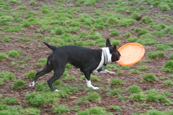 f0186509_22172746.jpg