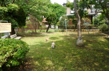 e0078510_1214068.jpg