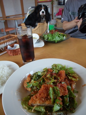 b0072515_2212766.jpg