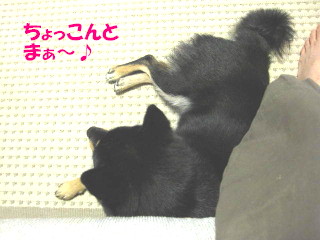 c0185516_2313982.jpg