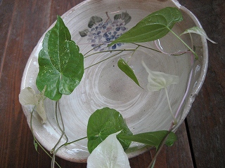 f0139520_13565220.jpg