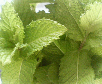 f0036223_64315100.jpg