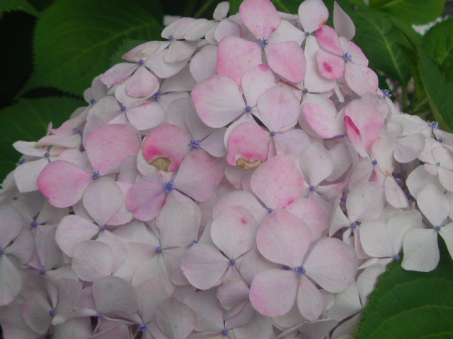 e0016828_23242321.jpg