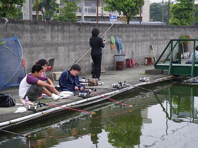 d0137029_1726579.jpg