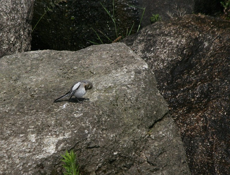 c0107231_21191139.jpg