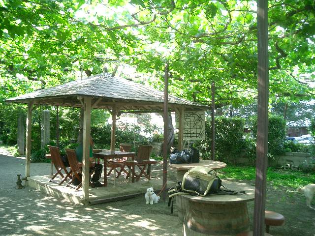 c0114833_18113796.jpg