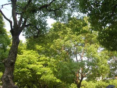 c0177238_1357155.jpg