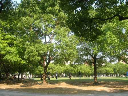 c0177238_13572823.jpg