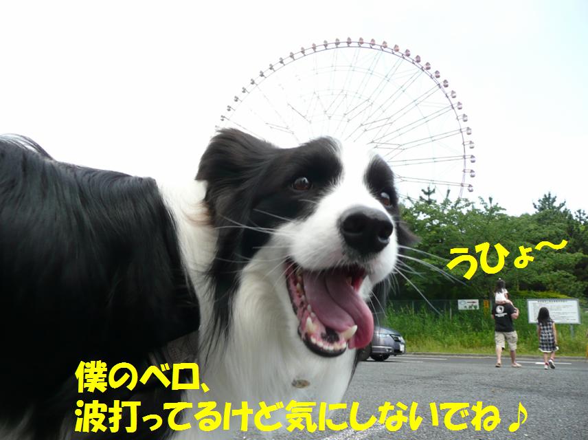 c0147241_0151056.jpg