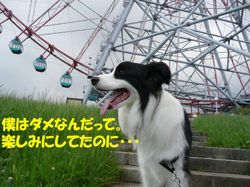 c0147241_015279.jpg