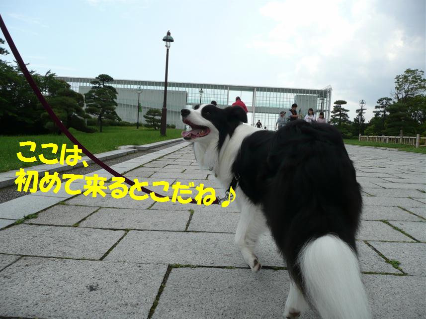 c0147241_0154338.jpg