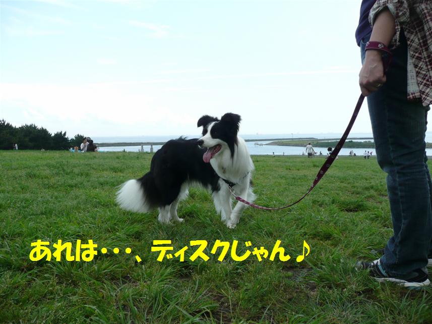 c0147241_0155156.jpg