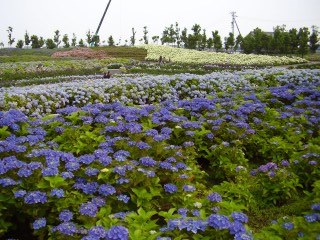 e0009846_22425712.jpg