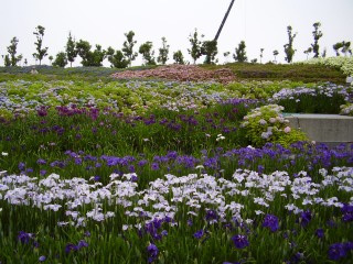 e0009846_22441052.jpg
